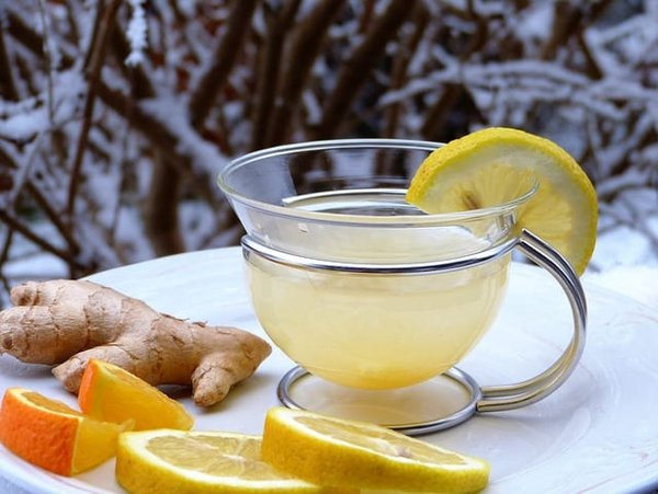 Quelles sont les plantes médicinales les plus utilisées en naturopathie ?